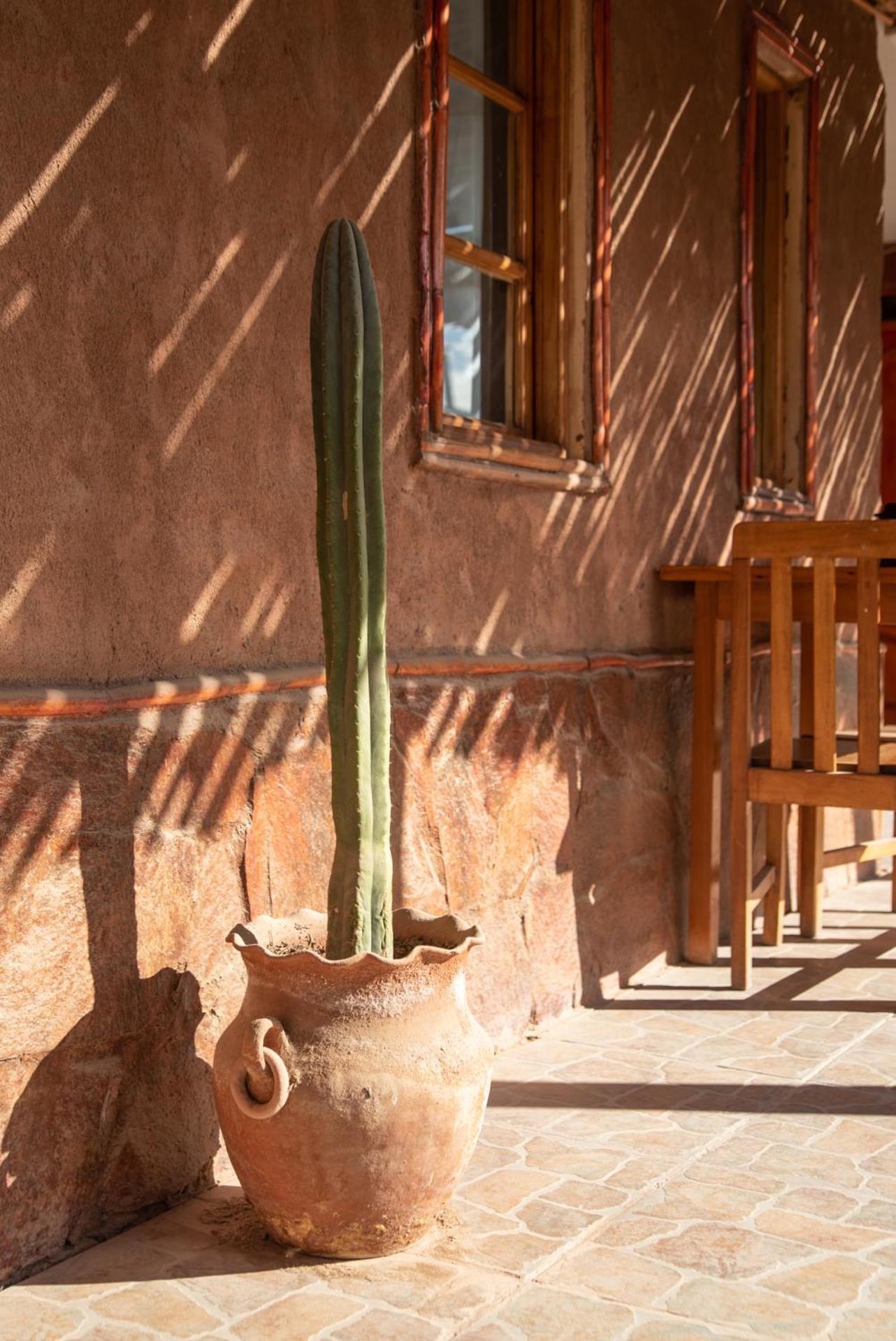 Casa Lickana B&B San Pedro de Atacama Ngoại thất bức ảnh